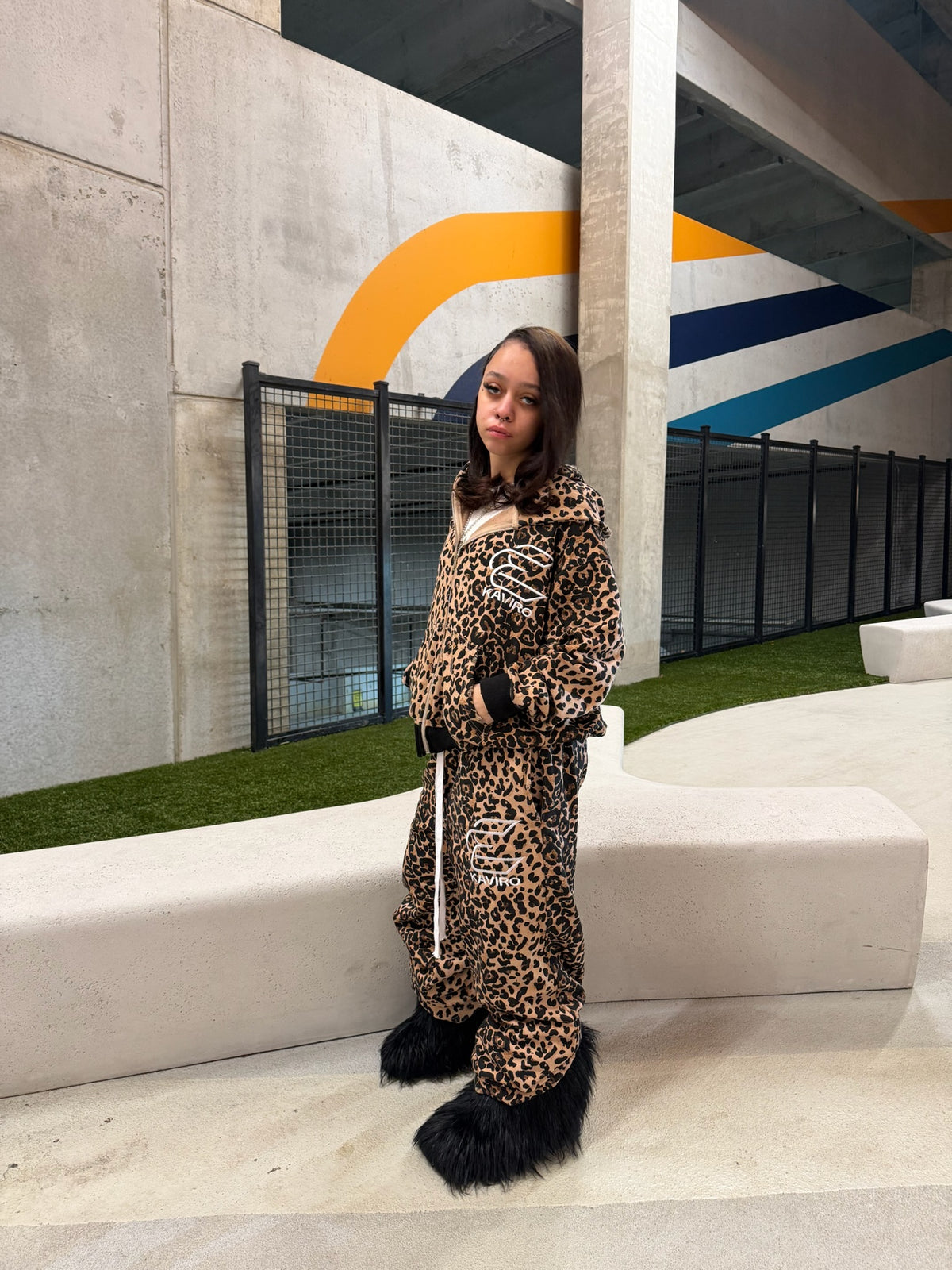 Cheetah set