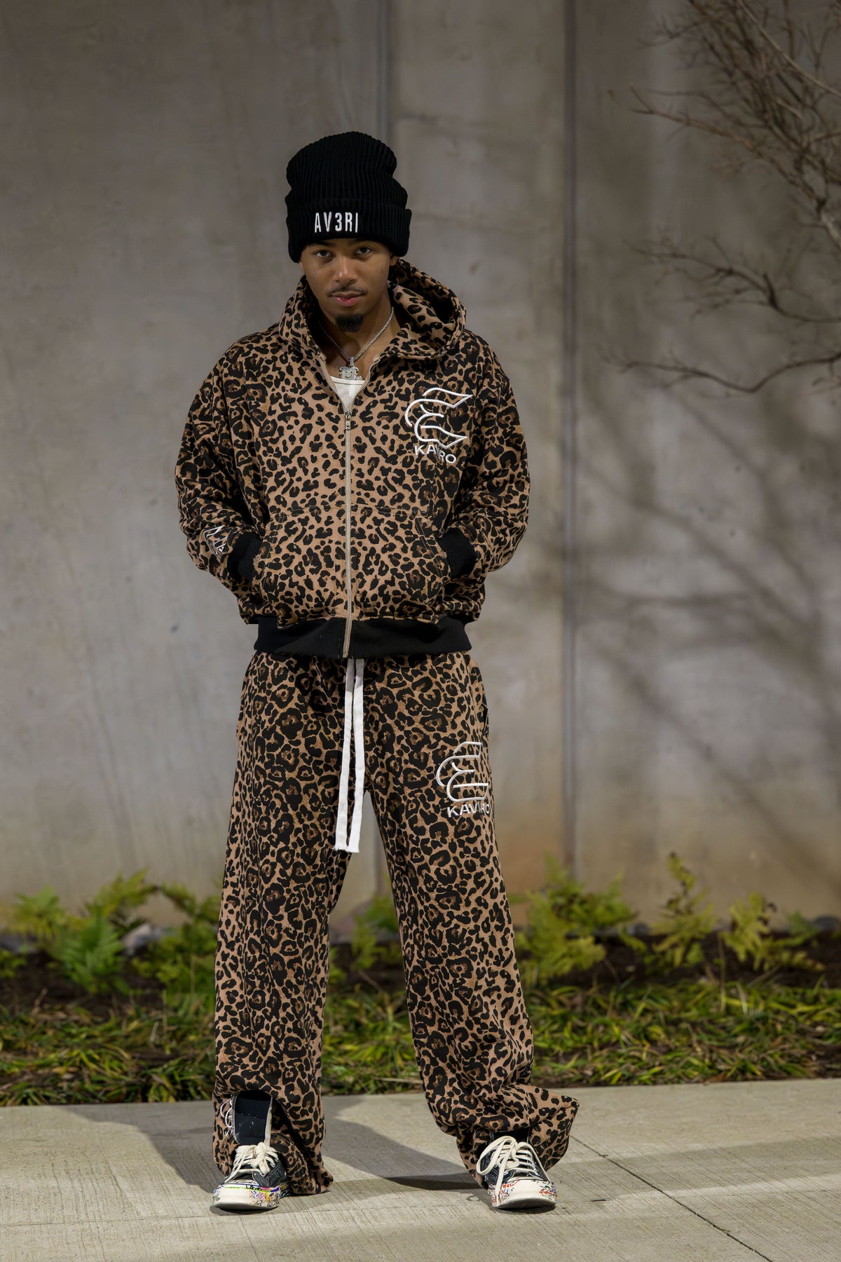 Cheetah set