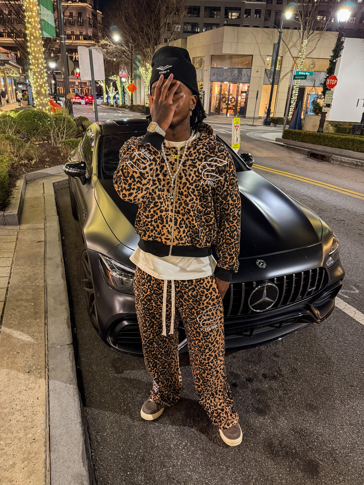 Cheetah set